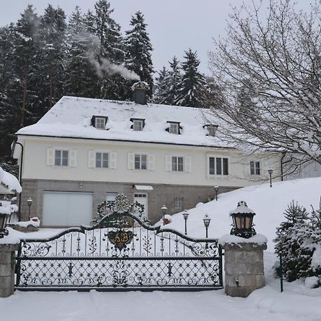 Schwarwald Apartment Schluchsee Buitenkant foto